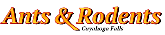 Cuyahoga Falls Ant Exterminator & Rodent Control Company Logo